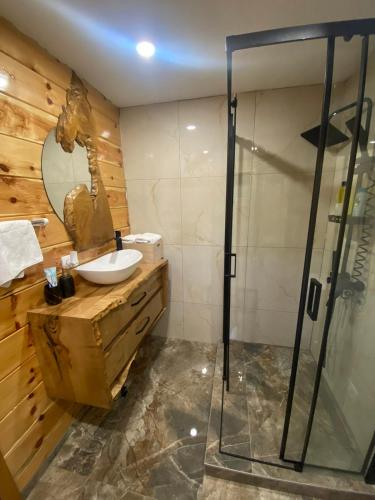 a bathroom with a sink and a glass shower at Vikendica Ana in Šipovo
