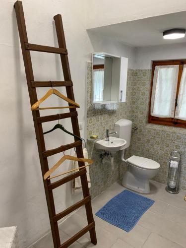 a ladder in a bathroom with a toilet and a sink at Appartamento il vecchio Forno in Mercatale Val Di Pesa