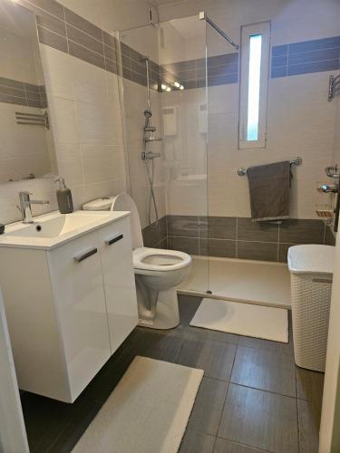 une salle de bain avec toilettes, lavabo et douche dans l'établissement Jolie maison à guilherand-granges, à Guilherand