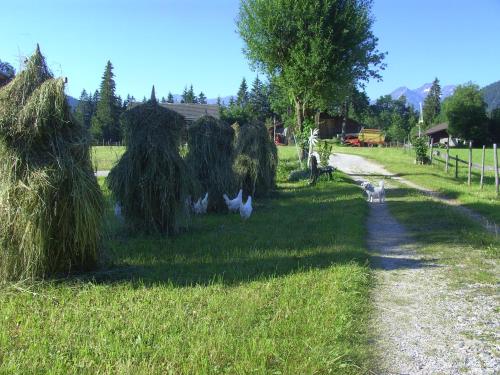 Paisaje cerca de este hostal o pensión