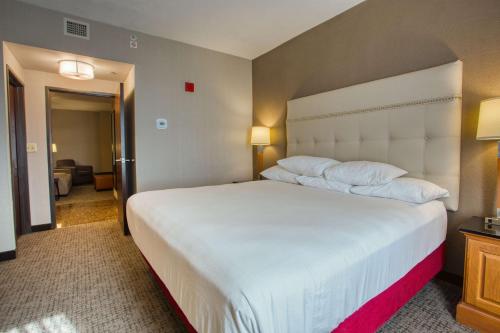 Drury Inn & Suites San Antonio Near La Cantera Image
