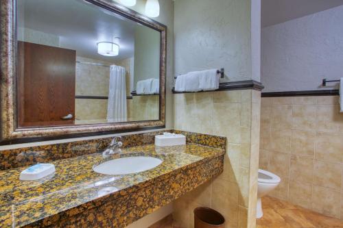 a bathroom with a sink and a mirror and a toilet at Drury Inn & Suites San Antonio Near La Cantera in San Antonio
