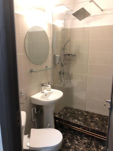 a bathroom with a toilet and a sink and a shower at La Vista Ultracentral - Private Parking in Craiova