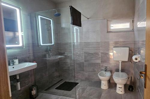 a bathroom with a shower and a toilet and a sink at Apartments by the sea Gornji Karin, Novigrad - 11806 in Gornji Karin