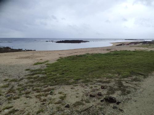 a beach with green grass and a body of water at My Little Paradise in Isangel