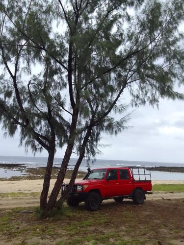 a red truck parked next to a tree on the beach at My Little Paradise in Isangel