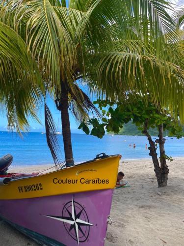 a boat on the beach with a palm tree at Couleur Caraïbes-COCOBEACH MARTINIQUE PIERRE et VACANCES in Sainte-Luce