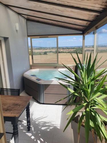 - un bain à remous dans une pièce avec une table et une plante dans l'établissement Chez Arnaud sauna et jacuzzi, à Saint-Maurice-sur-Loire