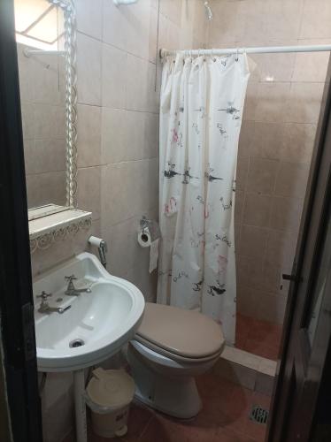 a bathroom with a sink and a toilet and a shower curtain at Hotel Piamonte in Buenos Aires