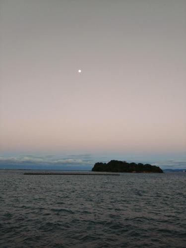 a small island in the middle of the water at 民宿ひろはた in Tanabe