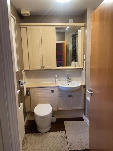 ein kleines Badezimmer mit Toilette und Waschbecken in der Unterkunft 3 bed Professional Suite for Long term in Aberdeen