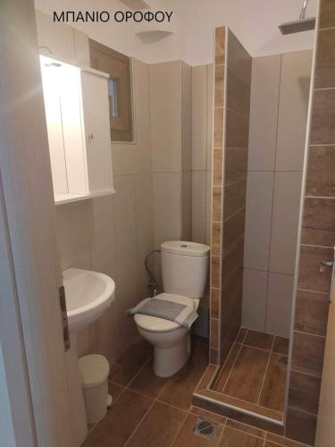 a small bathroom with a toilet and a sink at Maisonette in Paradisos 2 in Paradisos