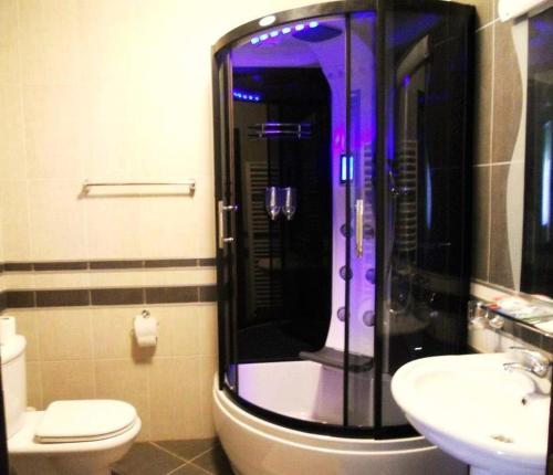 a bathroom with a shower and a toilet and a sink at Apartment Krsmanovic in Arandelovac