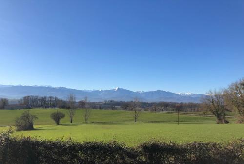 a field of green grass with mountains in the background at Les Chambres des 3 Chouettes in Sepx