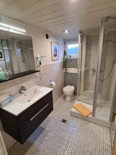 a bathroom with a sink and a shower and a toilet at Ferienhaus Birkelbach in Erndtebrück