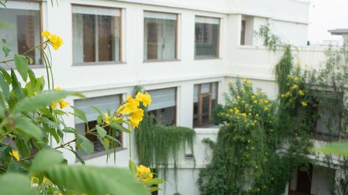 Κήπος έξω από το NAAD WELLNESS