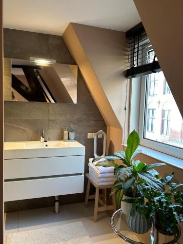 a bathroom with a sink and a large plant at Cozy room just outside Utrecht Center, calm & green in Utrecht
