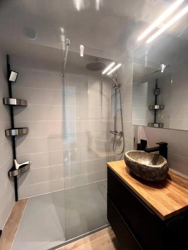 une salle de bain avec un lavabo et une douche dans l'établissement Entre deux mer au Palm Beach, à Cannes