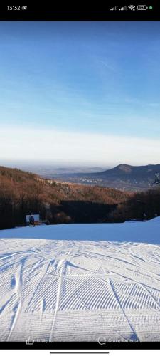 a snow covered slope with tracks in the snow at Wiejska Sielanka noclegi Ustroń in Ustroń