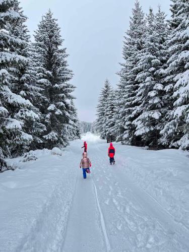 two children are walking down a snow covered road at Green Top with jacuzzi in Žabljak