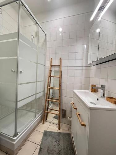 La salle de bains est pourvue d'une douche et d'une échelle. dans l'établissement Confort porte de la Croisette, à Cannes