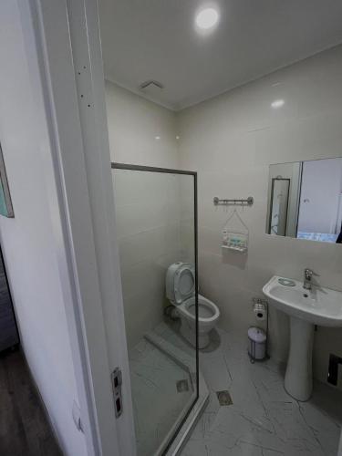 a bathroom with a shower and a toilet and a sink at View Racha in Ambrolauri