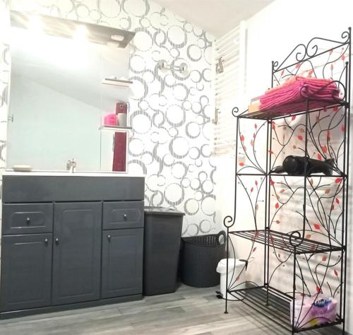 une salle de bain avec un lavabo et un miroir dans l'établissement Appartement T2 ADOUR, à Bahus-Soubiran