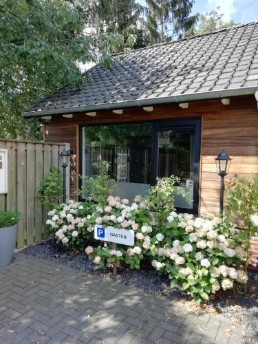a display of flowers in front of a house at B & B Chawe in Enschede