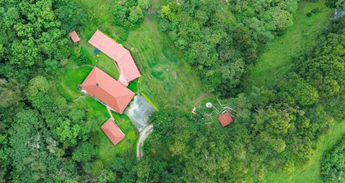 an aerial view of a house in the middle of a forest at Ecoresort Gran Azul in Salento