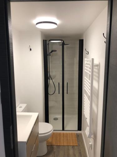 une salle de bain avec douche et toilettes dans l'établissement Petit cocon géromois, à Gérardmer