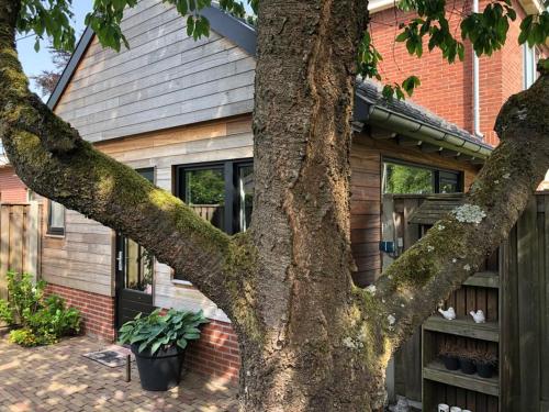 a tree trunk in front of a house at B & B Chawe in Enschede