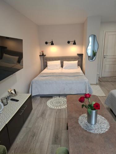 a bedroom with a bed and a living room at Apartamentai Auris in Druskininkai