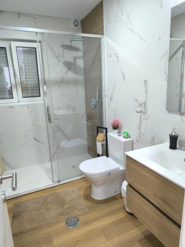 a bathroom with a shower and a toilet and a sink at Alojamento Emílio T1 in Gafanha da Encarnação