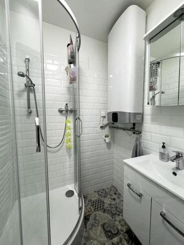 a bathroom with a shower and a sink at Dvoupokojový byt in Frymburk