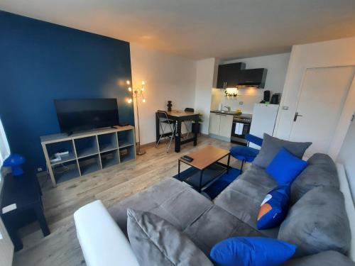a living room with a gray couch and blue pillows at Les Buttes - Apt 4 Prs, 1 ch - Parking privé in Dijon