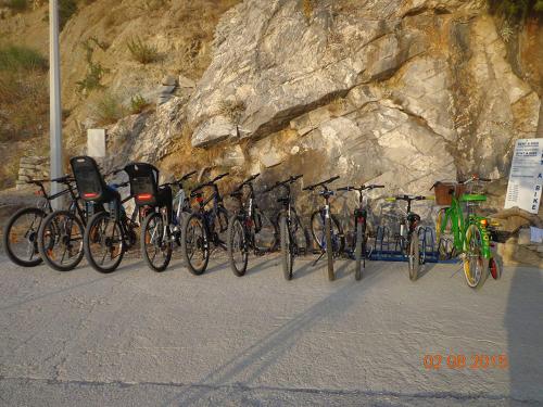 Apartment in Brela with sea view, terrace, air conditioning, WiFi 3524-8