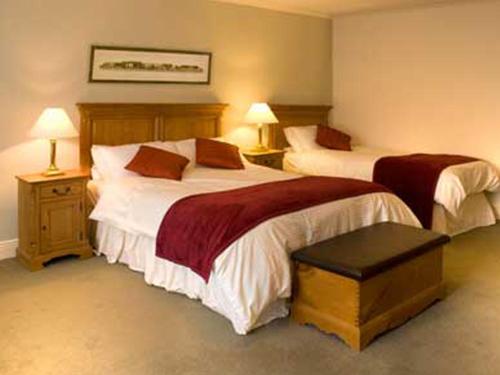 a hotel room with two beds and two lamps at Ballycannon Lodge in Croagh