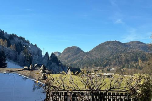 a house with a green roof next to a river at Da Frida Casa Vacanze Tarvisio in Tarvisio