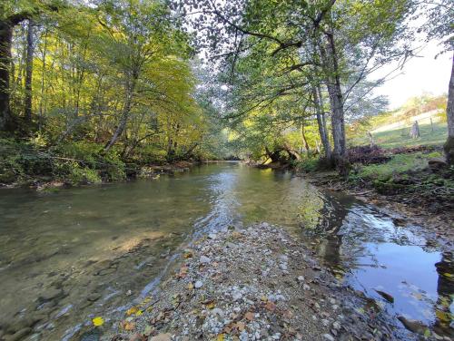 a river with trees on the side of it at Rest House in Olovo