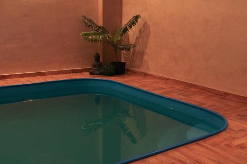 a swimming pool in a room with a plant at Wellness Tajemství Lucy in Příkosice