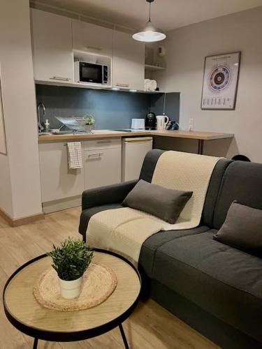 un salon avec un canapé et une table dans l'établissement Charmant studio, à Villeurbanne