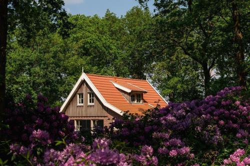Zahrada ubytování Buitengoed het Lageveld 62