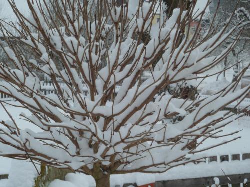 Foto dalla galleria di Bernerhof a Pottenstein