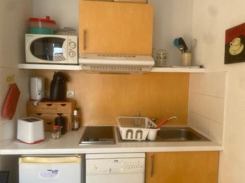 une petite cuisine avec un évier et un micro-ondes dans l'établissement Maisonnette en bois pour 1 couple sans chambre, à Cassen