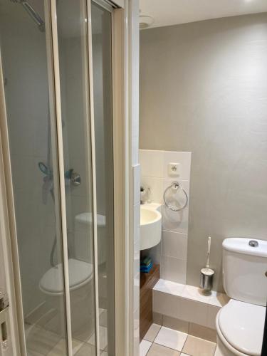 une salle de bain avec une douche, des toilettes et un lavabo dans l'établissement Appartement 6 personnes dans résidence avec piscine, à Le Touquet-Paris-Plage