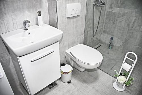Apartment La Dostana 1