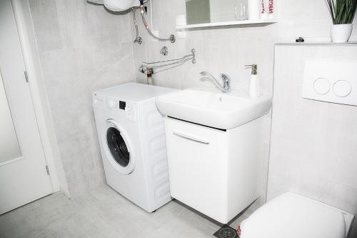 Apartment La Dostana 1