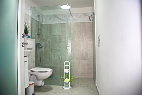 Apartment La Dostana 1