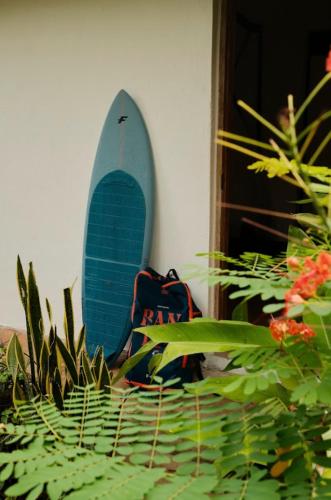 a surfboard sitting on the side of a wall with plants at Salty's Kitesurf Village in Kilifi