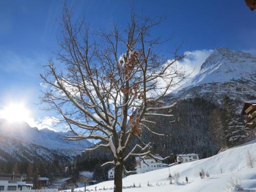 a tree in the snow in front of a mountain at 4two in Galtür